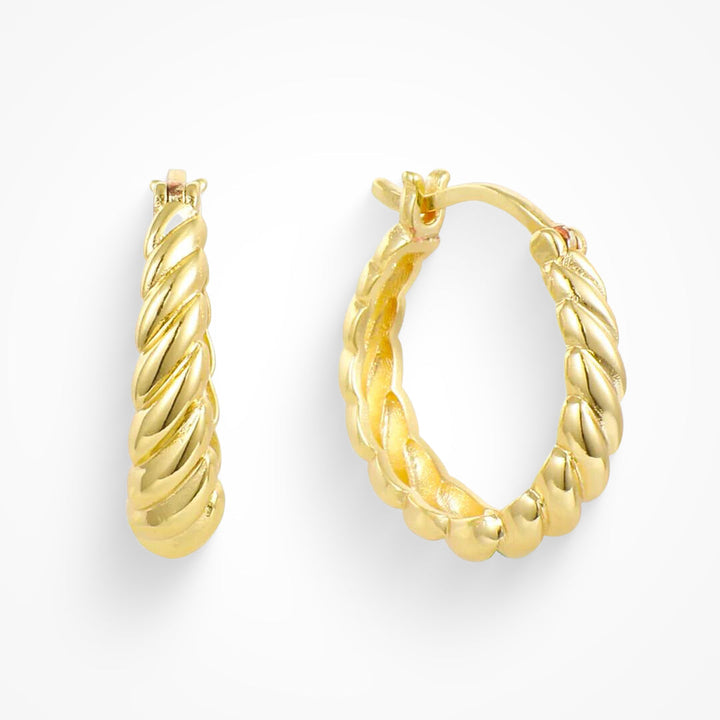 Twist Style Earrings
