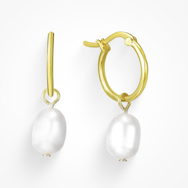 Shining Hanging Earrings