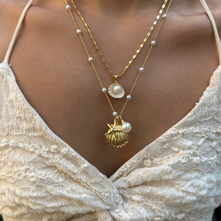 Shell Design Jewelry