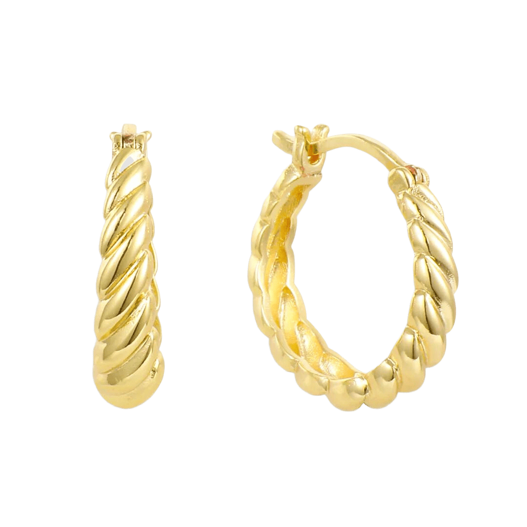 Twist Style Earrings