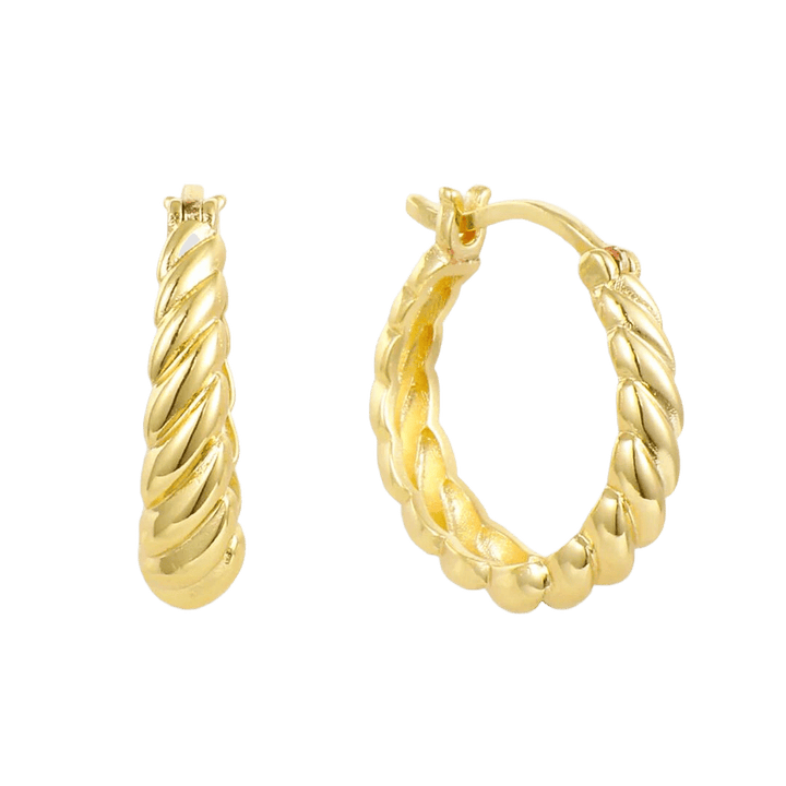 Twist Style Earrings