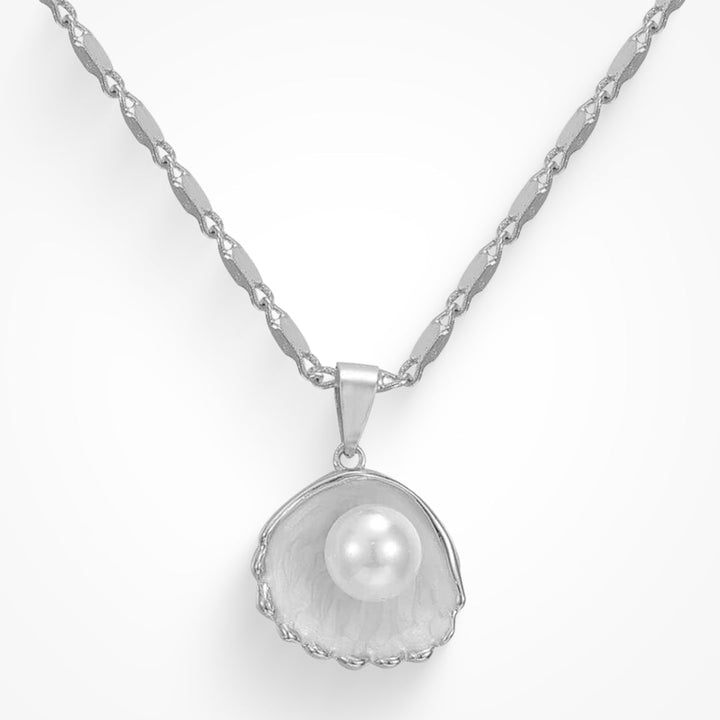 Shell Design Jewelry